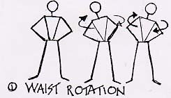 waist rotation